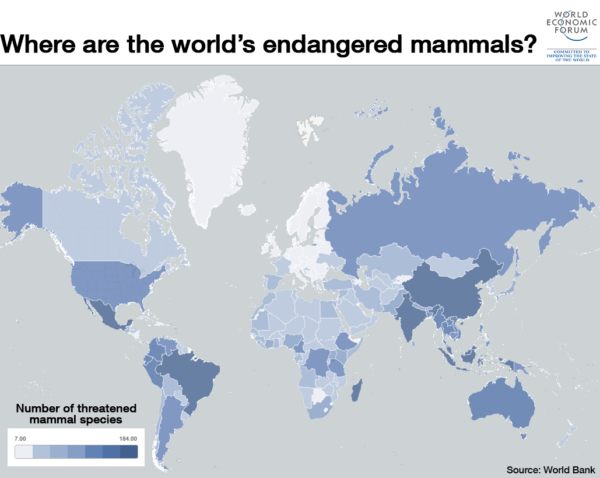 Which country has the most endangered animals?